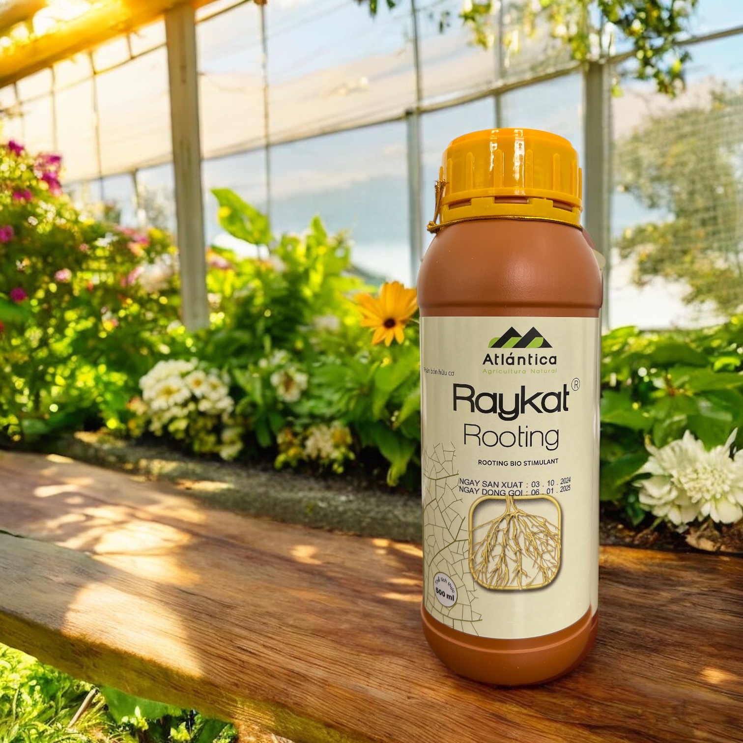 Phân bón sinh học hữu cơ Raykat Rooting - Chai 500ml